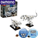レゴ(LEGO) アイデア 恐竜の化石 21320