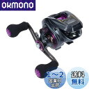 ダイワ(DAIWA) LIGHT SW X IC R カウンター付ベイトリール