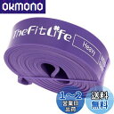 TheFitLife トレーニングチューブ 筋トレチューブ 懸垂チューブ (紫)(4)