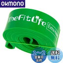 TheFitLife トレーニングチューブ 筋トレチューブ 懸垂チューブ (緑)(4)