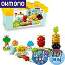 レゴ(LEGO) デュプロ はじめてのデュプロ やさい畑 おもちゃ 玩具 プレゼント 誕生日 ブロック 知育 クリスマス 男の子 女の子 子供 1歳半 2歳 3歳 幼児 ごっこ遊び おままごと 10984