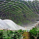 【送料無料】ONESORA ベランダ鳥よけネット 防鳥ネット 防鳥網 10×10m 取り付けインシュロック付属 カラス避け 鳩避け 鳥避け 猫脱走防止 野良猫侵...