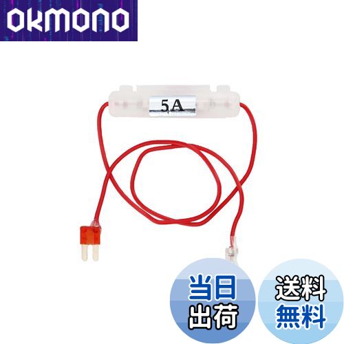 【送料無料】エーモン(amon)【販売ルート限定品】 マイクロ2ヒューズ電源 10A 10個入り 7572