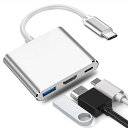 USB Type C HDMI アダプタ 3in1 2025高機能版 タイプ c hdmi 変換 100W高速PD充電 1080P 60Hz 4K対応 swit...
