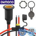 【送料無料】CERRXIAN 12V/24V固定スレッドシガーライターソケット延長ケーブル、20 A 13 AWG防水シガレット点火器メスソケット交換ケーブル(0.3M)