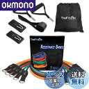 TheFitLife トレーニングチューブ チューブ トレーニング 筋トレチューブ (青/緑/赤/黒/橙)