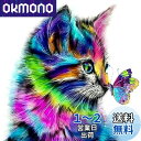 5dダイヤモンドアート 猫と蝶 5D ダイヤモンド塗装 モザイクアート ダイヤモンドペインティング キット ビーズ絵画 全面貼り付けタイプ ビーズアート モザイクビーズ 芸術品 装飾 DIY 手芸 キット 30x30cm