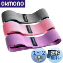 PROIRON ヒップバンド トレーニング 特製ゴムバンド付き 強度別3本セット フィットネス エクササイズ 太もも ダイエット 強い耐久性 収納袋付き 両面ラ...