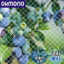 【送料無料】ベランダ 防鳥ネット 3×8m 鳥よけネット カラス 鳩 鳥害対策 防鳥防獣網 鳥除け Limthe透明色ネット(結束バンド 15本付き)
