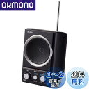 ELPA(エルパ) AM/FMスピーカーラジオ テレビにつなぐと手元で聴ける ER-SP39F