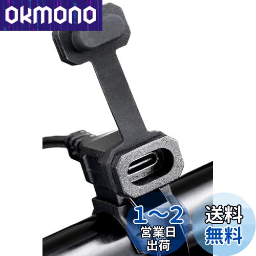 ǥȥ(Daytona) Х USBŸ USB-C PD3.0б ® 18W iPhone/Androidб 1ݡ ...