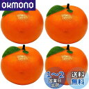 NUOLUX オレンジ 食品サンプル フルーツ 果物 フェイクみかん 人工 イミテーション オブジェ 置物 オーナメント 飾り 写真小道具 果物屋さんディスプレ...