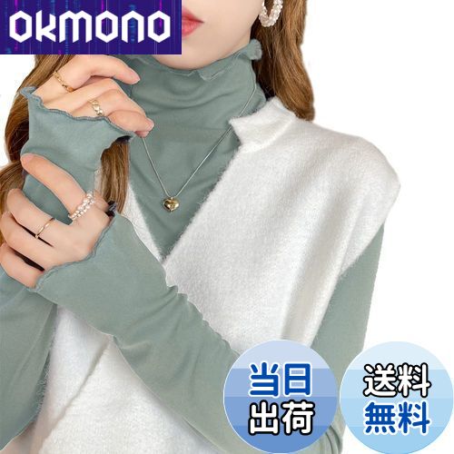 【送料無料】[PALAME] シアー トップス 総レース シースルー レディース 春 秋 肌見せ・重ね着・着回し力 高伸縮 ブラウス チュール メロー加工 ハイネック インナー 軽量 薄手 長袖 花柄 春 夏 秋 (無地ーブルーグレー)