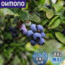 【送料無料】OFFO 防鳥ネット 鳥避けネット 幅2m×縦4m 15mm極細網目 強力ナイロン 耐久性 鳥よけネット スズメ対策 ブルーベリーや野菜などをしっか...