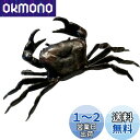 mamota 文鎮 蟹 置物 カニ 風水 伝統工芸 金運 茶道具 真鍮 置物 民芸品 繊細 細密 彫刻 車内 招福 商売繁盛 筆置き インテリア