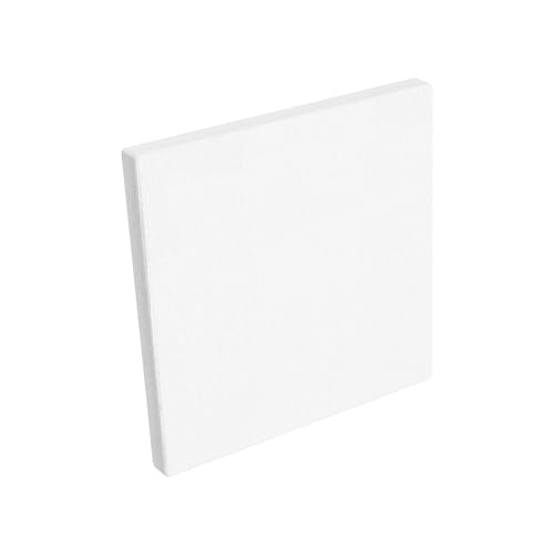 【送料無料】HANSILK 張りキャンバス キャンバス 画材 絵画ボード 中目 油彩・アクリル兼用 canvas pai..