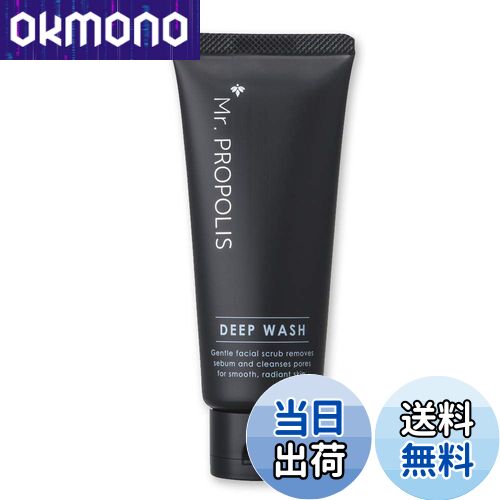 【送料無料】山田養蜂場 Mr. PROPOLIS ディープウォッシュ 100g 男性用洗顔フォーム 皮脂 毛穴 汚れ さっぱり スキンケア テカらない シェービング