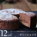 ガトーショコラ 12cm(4号サイズ)濃厚 チョコレートケーキ ガナッシュ チョコレート ケーキ スイーツ ギフト プレゼント ホールケーキ 出産 結婚 内祝い お祝い お返し お礼 誕生日 のし対応 送料無料 お歳暮 お年賀 産直 シーズ 広島