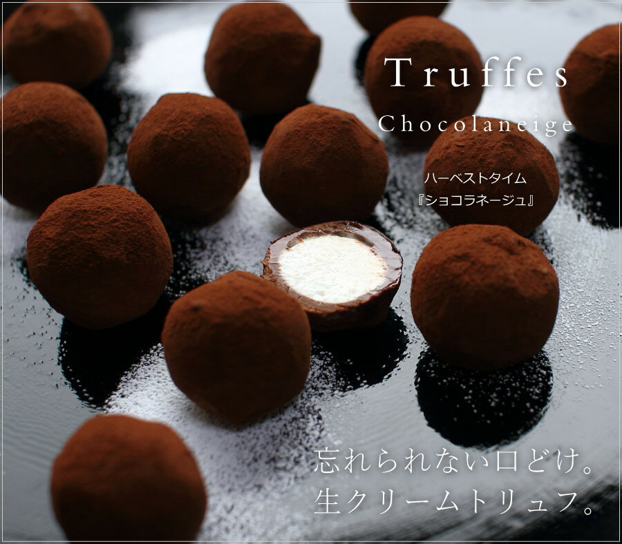 �ۥ磻�ȥǡ� ���祳 ���祳��͡����� 10������ʼ������դ��� ���祳�졼�� �����祳 ���ȥ��� �ȥ��� ��� ��鴶 ���ե� �͵� ͽ�� ���� �ϡ��٥��ȥ����� ���� WD