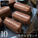 パティスリー イマージュ 生チョコサンド 10個入り 送料込 スイーツ ギフト チョコレートケーキ チョコサンド プレゼント お菓子 送料無料 のし 出産 結婚 内祝い お祝い お返し お礼 誕生日 母の日 父の日 広島