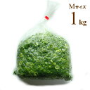 【常温】赤葱 500G (丸京/農産加工品【常温】/野菜) 業務用