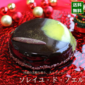 クリスマスケーキ 予約 2023 チョコレートケーキ ソレイユ・ド・ノエル 12cm （4号 サイズ） （目安：2人、3人、4人分） クリスマス ケーキ お取り寄せ チョコレートケーキ チョコ 飾り かわいい 可愛い おしゃれ 人気 送料無料
