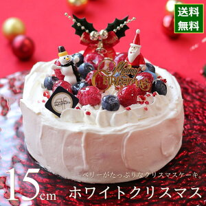 クリスマスケーキ 予約 2022 ホワイトクリスマス 15cm（5号 サイズ） （目安：4人、5人、6人分） クリスマス ケーキ お取り寄せ 木苺 いちご ブルーベリー ベリーベリーベリー 飾り キャラクター かわいい おしゃれ 送料無料 カトルフィユ 広島