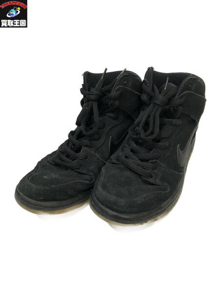 NIKE DUNK HIGH PRO SB　SIZE28cm　黒　ナイキ　ダンク　ハイ　プロ　【中古】