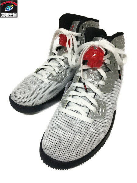 NIKE AIR JORDAN SPIKE FORTY PE（28.5）807541-101【中古】[▼]