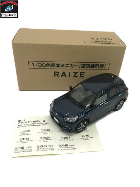 カラーサンプル 1/30 RAIZE【中古】[▼]