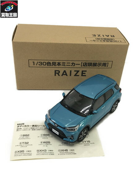 カラーサンプル 1/30 RAIZE【中古】