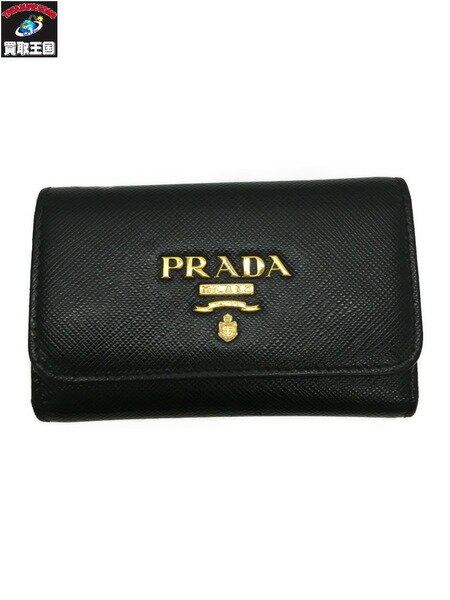 PRADA/եΥޥ顼/1PG004_ZLP_F061Hš