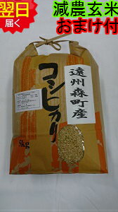 【令和5年産　新米】静岡県森町　堀内農場特別栽培米(減農薬5割減、化学肥料9割減）コシヒカリ★玄米5kg送料無料※北海道、沖縄は発送見合わせております。