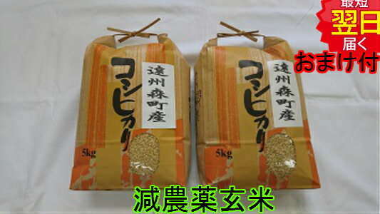 【令和5年産　新米】静岡県森町　堀内農場特別栽培米(減農薬5割減、化学肥料9割減）コシヒカリ★玄米10kg送料無料※北海道、沖縄は発送見合わせております。