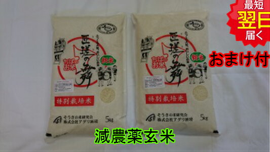 【令和5年産　新米】千葉県匝瑳市産　特別栽培米(減農薬5割減、化学肥料5割減）匝瑳の舞プレミアム★玄米10kg（5kg袋×2）送料無料※北海道、沖縄は発送見合わせております。 1