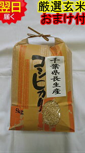 【令和5年産 新米】千葉県産 長生産 コシヒカリ ★玄米5kg送料無料 北海道 沖縄は発送見合わせております 