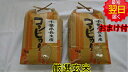 【令和2年産　新米】千葉県産　長生産　コシヒカリ　★玄米10kg送料無料※北海道、沖縄は発送見合わせております。