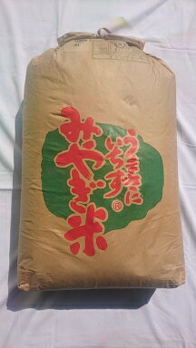 新品種お試し価格【令和5年産　新米】宮城県登米産　だて正夢宮城米推奨店登録店☆玄米30kg(精米無料)送料無料※北海道、沖縄は発送見合わせております。のサムネイル