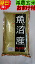 【令和6年産 新米】新潟県魚沼産コシヒカリ(特別栽培米、減農薬米)★玄米10kg送料無料※北海道、沖縄は発送見合わせております。
