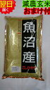 【令和2年産】新潟県魚沼産コシヒカリ(特別栽培米、減農薬米)★玄米5kg送料無料※北海道、沖縄は発送見合わせております。