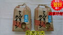 【令和元年産】長野信濃町　ミルキークイーン　玄米10kg(5kg×2袋）送料無料※北海道は別途送料\500沖縄一部離島は\1500が掛かります。