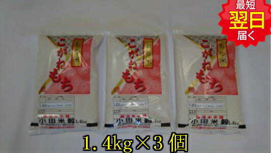 【令和5年産】宮城県登米産こがねもち米1升 1.4kg 3袋特別栽培米 農薬5割 化学肥料5割減 宮城米推奨店登録店 送料無料 北海道 沖縄は発送見合わせております 