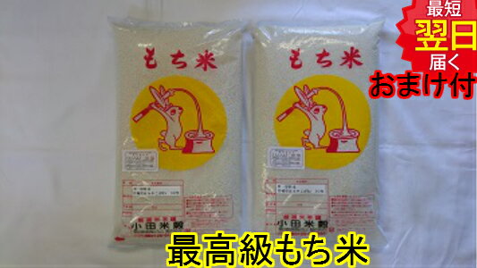 【令和5年産 新米】宮城県登米産 こがねもち米 10kg 5kg 2 特別栽培米 農薬5割減 化学肥料5割減 宮城米推奨店登録店送料無料 北海道 沖縄は発送見合わせております 