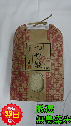 【令和5年産 新米】山形県産 無農薬 つや姫 白米5kg送料無料 北海道 沖縄は発送見合わせております 