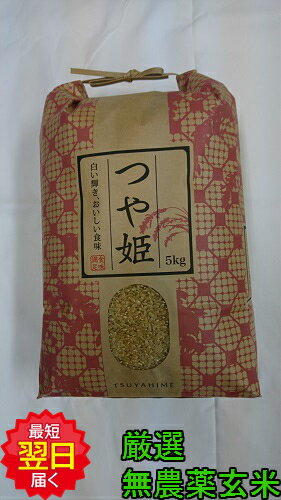 【令和5年産　新米】山形県産　無農薬　つや姫 ★玄米5kg送