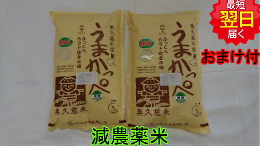 【令和5年産 新米】茨城奥久慈 うまかっぺコシヒカリ☆白米10kg特別栽培米 減農薬米送料無料 北海道 沖縄は発送見合わせております 