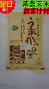 【令和2年産　新米】茨城奥久慈　うまかっぺコシヒカリ★玄米5kg特別栽培米、減農薬米送料無料※北海道、沖縄は発送見合わせております。