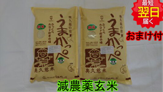 【令和元年産】茨城奥久慈　うまかっぺコシヒカリ★玄米10kg特別栽培米、減農薬米送料無料※北海道、沖縄は発送見合わせております。