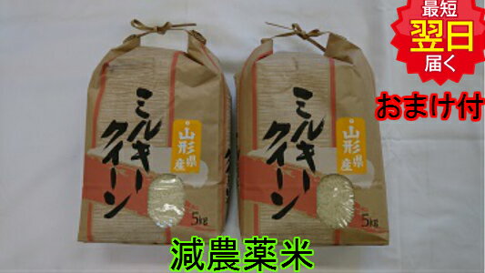 【令和5年産　新米】山形県ミルキークイーン☆白米10kg特別栽培米(5kg×2袋）送料無料※北海道、沖縄は発送見合わせてお…