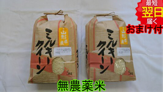 【令和5年産　新米】山形県産　無農薬　ミルキークイーン　白米